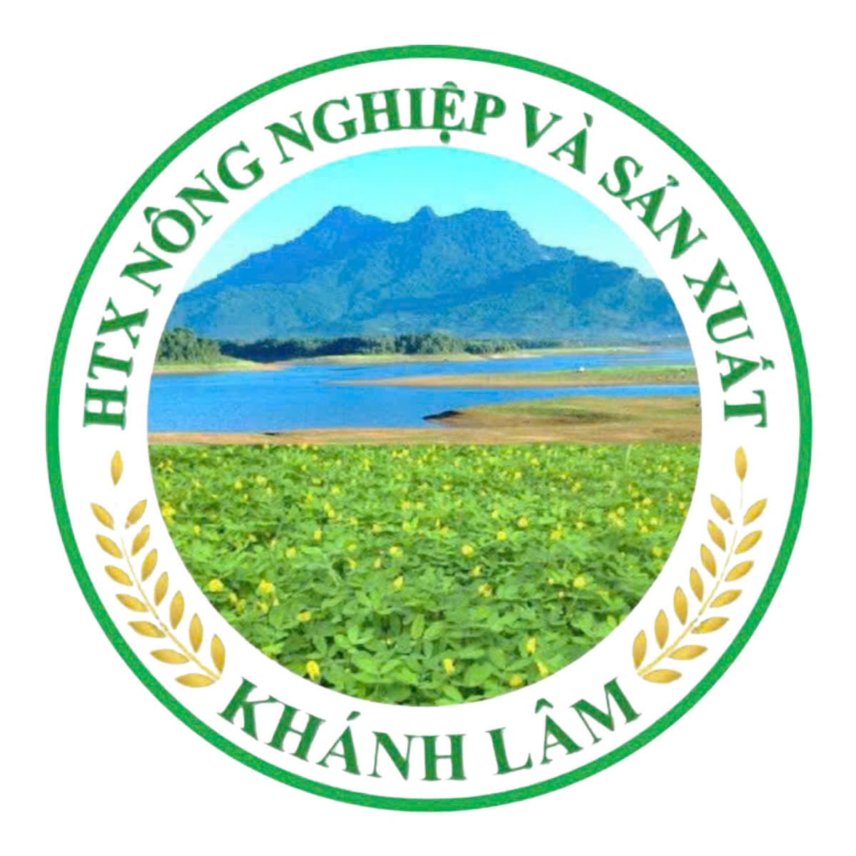 logo